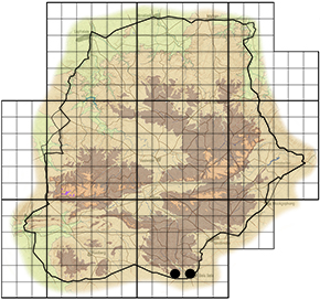 Deudorix vansoni Waterberg distribution